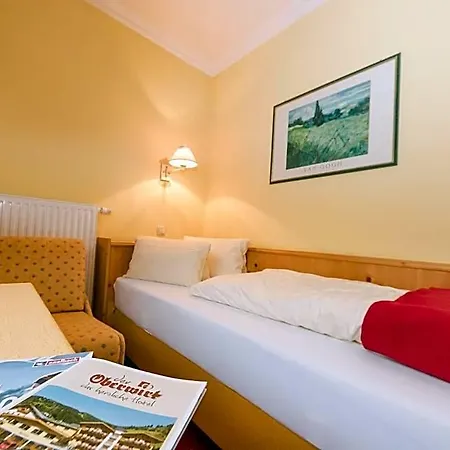 Oberwirt - Nahe An Saalbach Und Zell Am See, Sommercard Viehhofen
